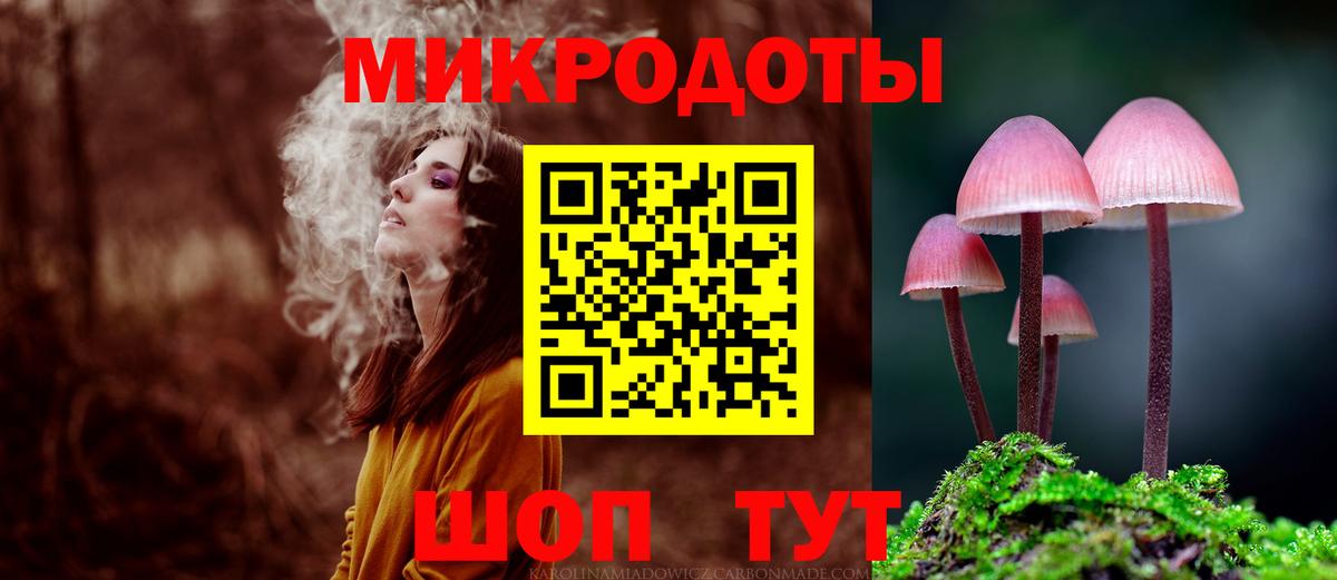Галлюциногенные грибы Psilocybine cubensis Екатеринбург